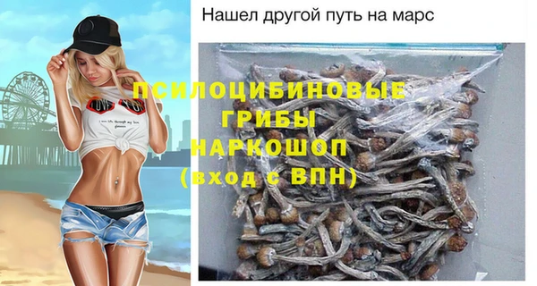 не бодяженный Бородино